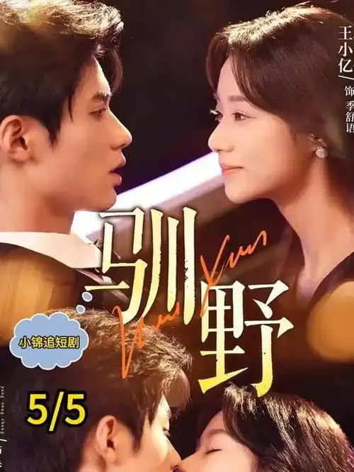 影视大全刑侦剧《无声证词》海报